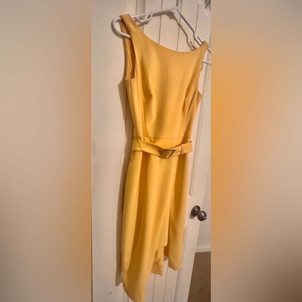 Beautifully designed and tailored WHMB dress.